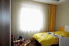 SAM_2933